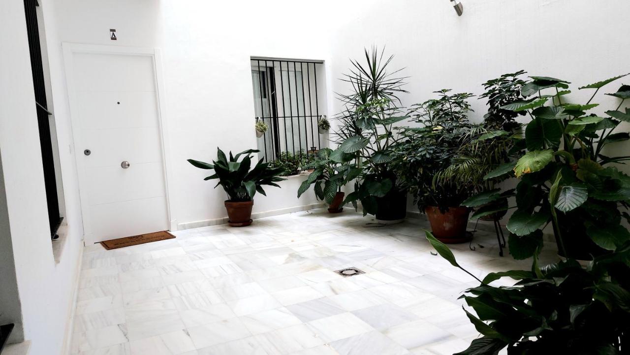 Entrearcos Apartment Cadiz